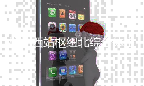 杭州合体北综西站结构主体封顶枢纽